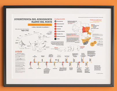 "Survival of the northern white rhino" Infographic