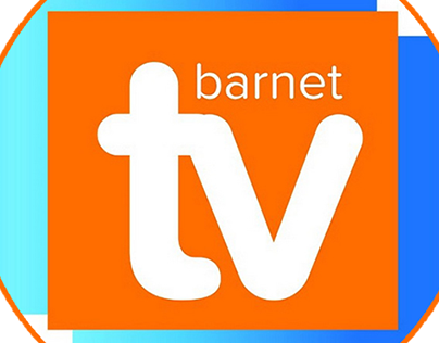 Reflective Journal for Client Work (BarnetTV)