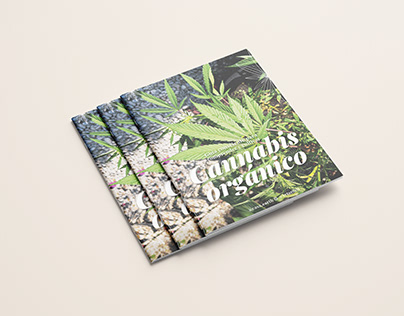 Project thumbnail - Cannabis orgánico / Casa Earth