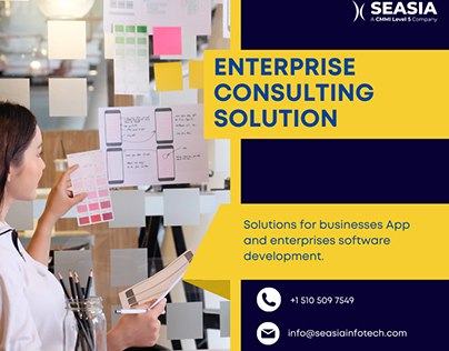 Enterprise Consulting Solutions and Services