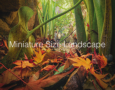 Miniature Size Landscape -season1-