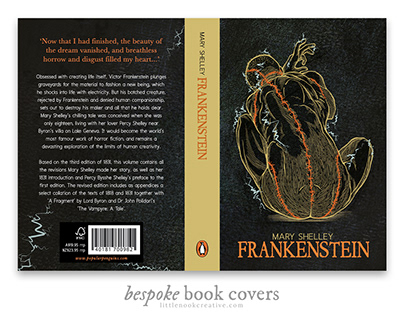 'Frankenstein' Book Cover