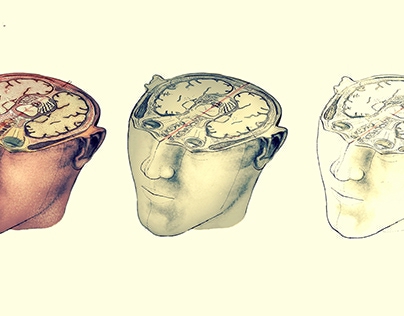 Brain in Head-Caricatured (2015)