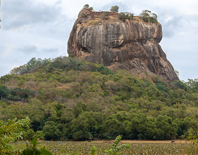 Lion Rock, සීගිරිය, சிகிரியா - Sigiriya