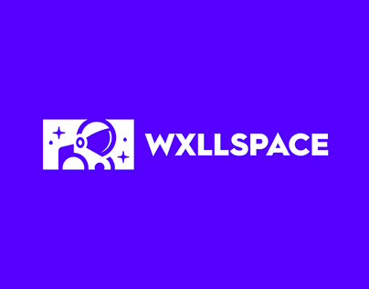 Wxllspace Branding, Ui&Ux, Iconography, Illustration