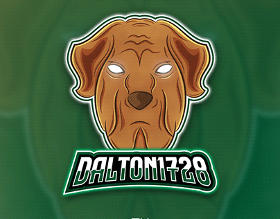 Dalton1728 Mascot Logo