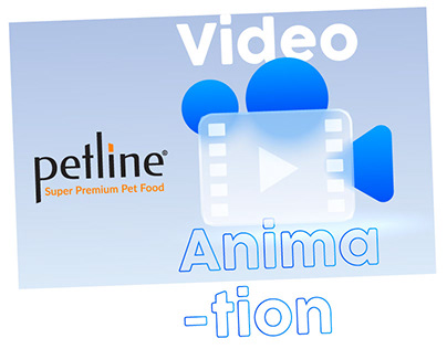 Pet Shop Animation Videos