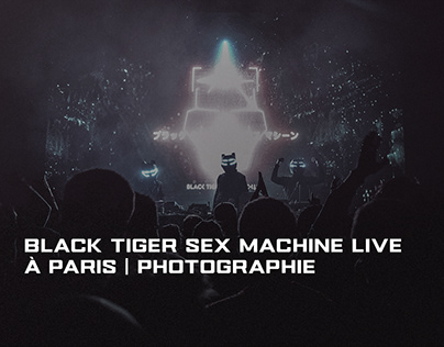 Black Tiger Sex Machine Live à Paris | Photographie