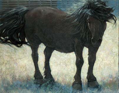 Horse Paintings and Sketches