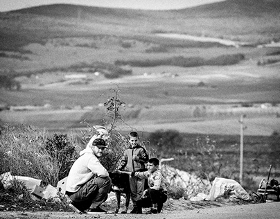 Veteran photographs street dogs of rural Bulgaria