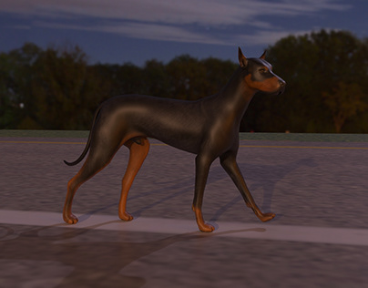 Dog Walk Animation