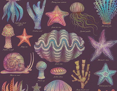 Sea Life Specimens