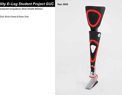 E – Prothesis GUC. Project