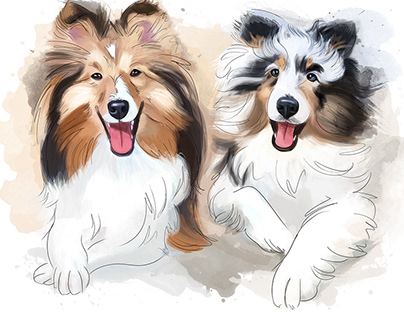 Commissioned Pet Illustrations