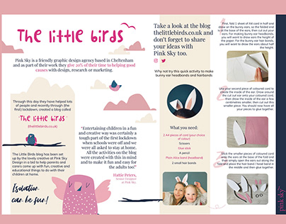The Little Birds - Magazine and Email Design