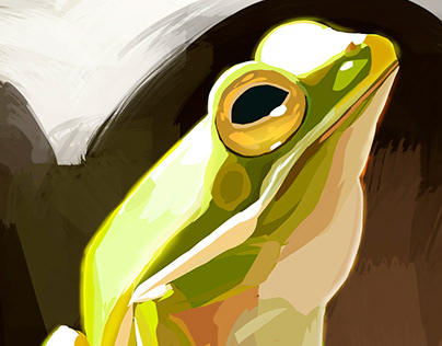 Frog 01
