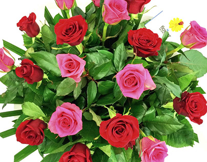 Flower Delivery in Bangalore Make Your Dear Ones Happy