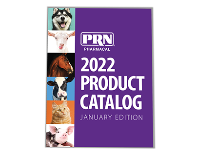 Project thumbnail - Product Catalogs