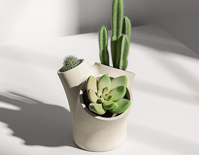 TRIO - Cactus Pot