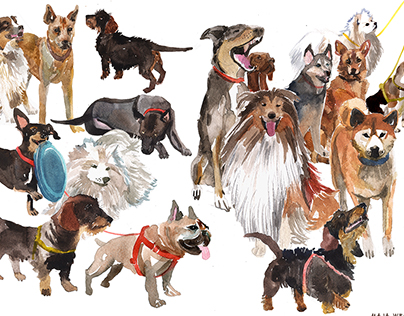 dogs watercolor series