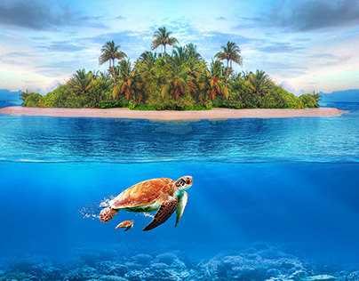 Tortoise and Island images Manipulation