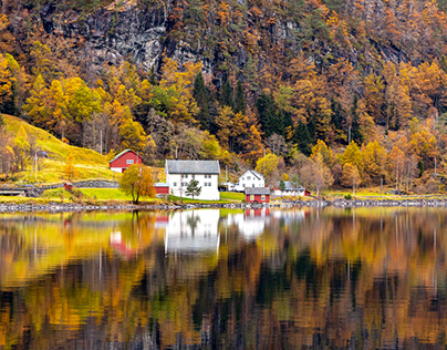 Bergen - Beautiful fjord cruise