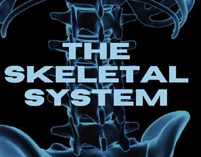 skeleton system