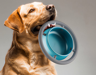 Frisbo - Dog Bowl - Bowl+Dog training toy