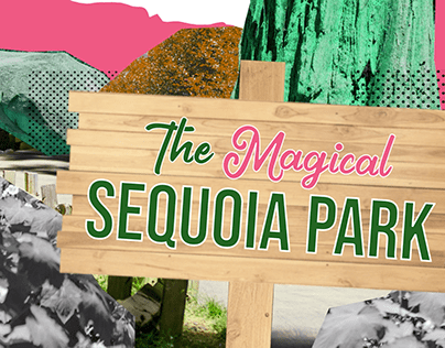 Animated Video Collage - The Magical Sequoia Park