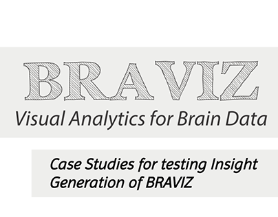 Case Studies fot Insight Generation of Braviz