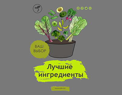 Watercolot vegetables food illustration for eco store