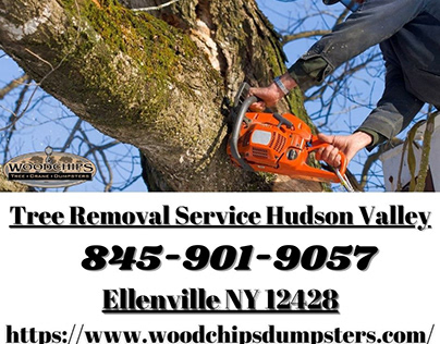Tree Removal Service Hudson Valley