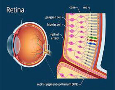 Retina Symptoms | Retina Surgery In Mumbai , India