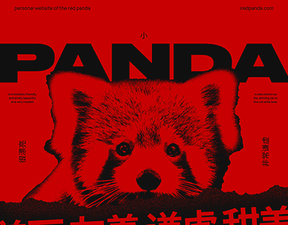RED PANDA. Personal website