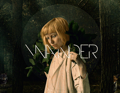 Wander (Manipulation Design)