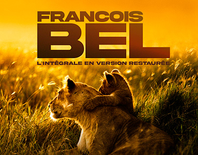 COFFRET FRANÇOIS BEL BR & DVD