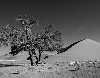 Namibia in black-and-white - Landscapes