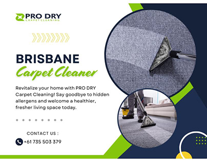 Brisbane Carpet Cleaner