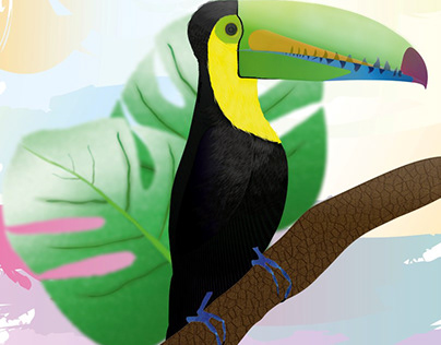 Toucan. Vector illustration