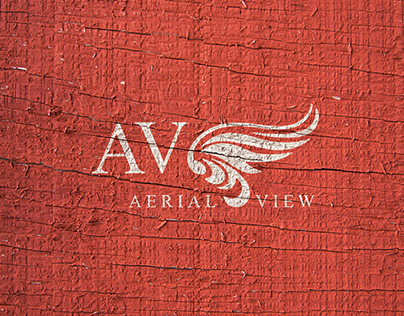 AERIAL VIEW - Logo