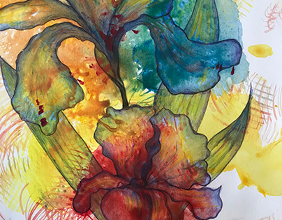 Iris, 11x14 watercolor
