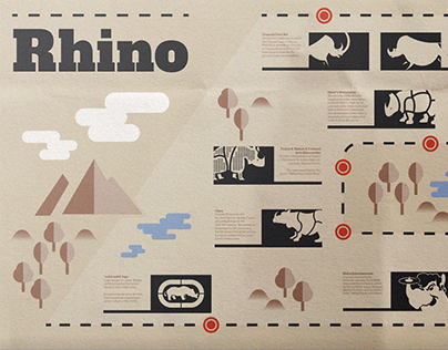 Rhino Infographic