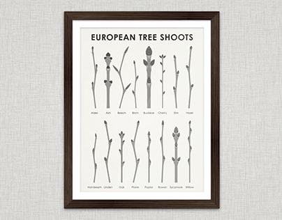 European Tree Shoots Infographic