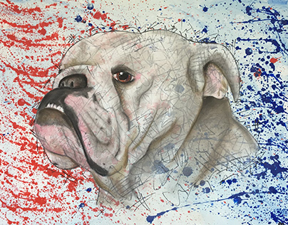 English Bulldog Painting (For Sale)
