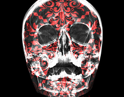 Skull -Digital art