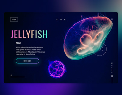 Jellyfish concept page