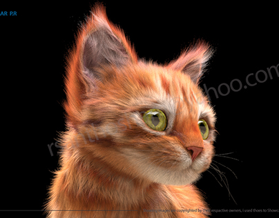 Project thumbnail - 3D Kitten With Hair & Fur