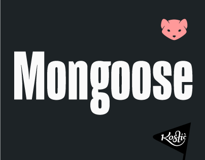 Mongoose Type Family