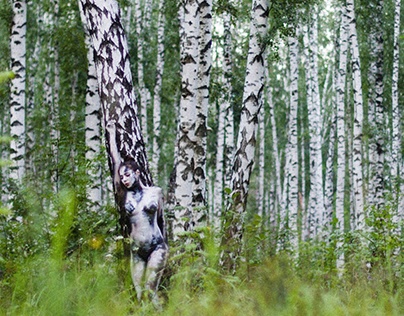 Birch Grove - Bodypainting by Lana Chrtomium