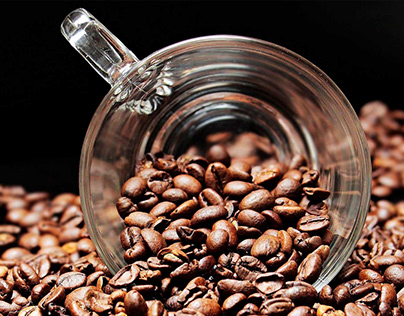 Project thumbnail - Grano de café; la selección exquisita de Solo Caffé